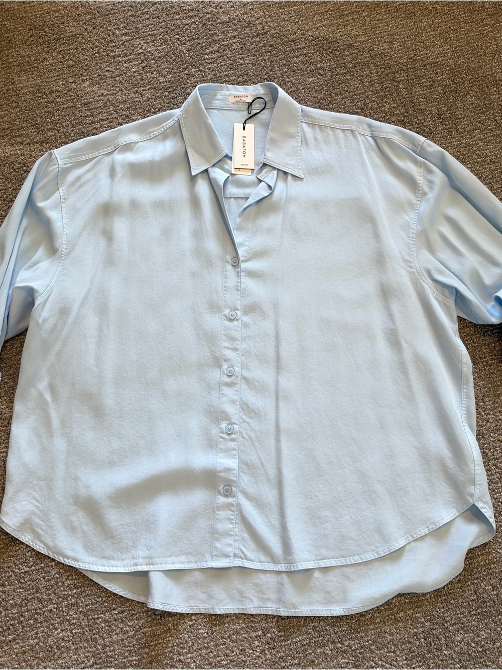 Babaton Light Blue Relaxed Button-Up Blouse